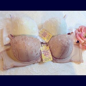 🎀Beaute express intimates sexy push up lace Bras